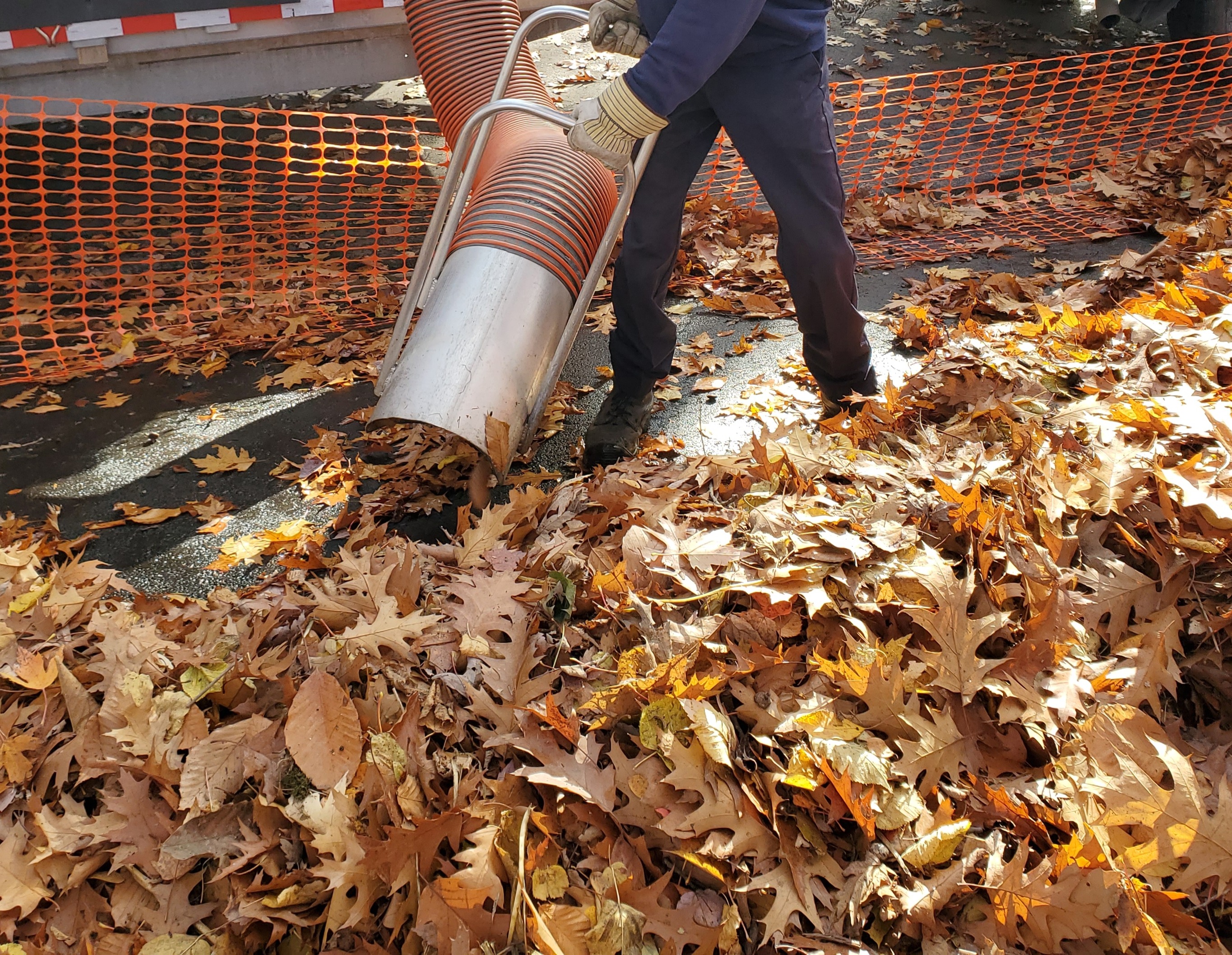Aspiration des feuilles